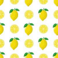 Seamless pattern with fresh whole, half lemon fruit on white background. Vector illustration for design, web, wrapping paper, fabric, wallpaper