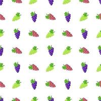 Seamless pattern with purple, green and red grapes isolated on white background. Bunch of purple grapes with stem and leaf. Vector illustration for design, web, wrapping paper, fabric, wallpaper.