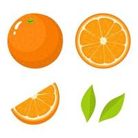 conjunto de frutas frescas enteras, medias, cortadas en rodajas y hojas de naranja aisladas en fondo blanco. Mandarina. fruta organica estilo de dibujos animados ilustración vectorial para cualquier diseño. vector