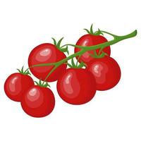 Raw Ripe Tomatoes on Branch isolated on white background. Fresh Red Cherry Tomato Vegetable. Label for Market. Organic Food. Cartoon Flat Style. Vector illustration for Your Design, Web.