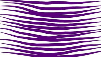 Beautiful abstract line pattern of tiger or zebra skin texture. photo