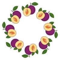 Wreath from plum fruits with space for text. Cartoon organic sweet food. Summer fruits for healthy lifestyle. Vector illustration for any design.