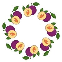 Wreath from plum fruits with space for text. Cartoon organic sweet food. Summer fruits for healthy lifestyle. Vector illustration for any design.