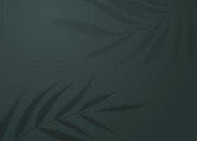 sombra transparente realista de una hoja de palmera en el lujoso fondo de la pared verde. concepto cosmético o spa. sombra de hojas de plantas tropicales. maqueta con desenfoque de palmera. ilustración vectorial vector