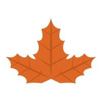 maple autumn leaf vector