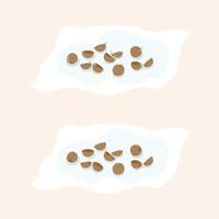 coriander seed soak in water on Tissue cotton Flat Vector illustration