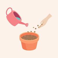 watering coriander Seeds in a pot are Growing up is a soft shoot Flat Vector illustration