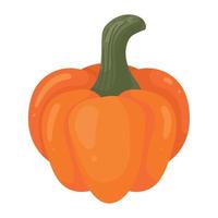 pumpkin autumn season vector