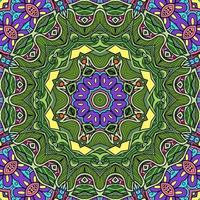 Colorful Mandala Flowers Pattern Boho Symmetrical 243 photo