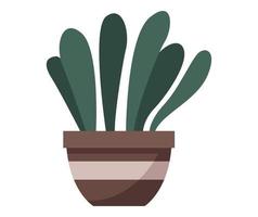 houseplant in ceramic pot vector