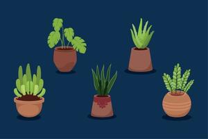 cinco iconos decorativos de plantas de interior vector