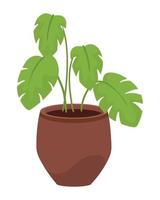 leaves in pot vector