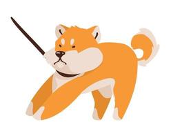 shiba inu with necklace vector