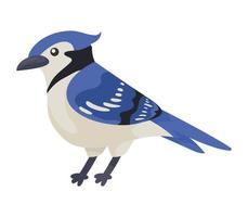 azulejo pájaro animal especia vector