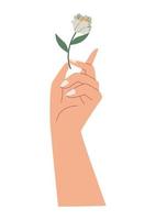 woman hand lifting flower vector