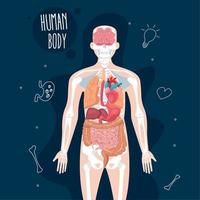 Anatomy body design vector