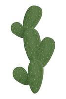 planta de cactus del desierto vector