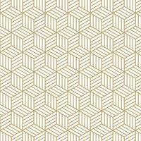 Hexagonal pattern with lines and 3d box look vector