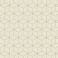 Hexagonal pattern with lines and 3d box look vector