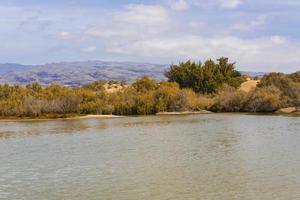 Oasis in Maspalomas Dunas photo