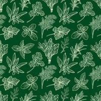 Italian herbs pattern. Provencal herbs pattern. photo