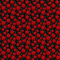 red tulips seamless pattern photo