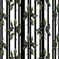 pattern with green leaves on a striped black and white background photo