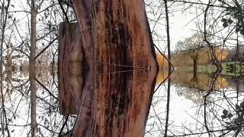 estructura marrón de madera en un parque foto