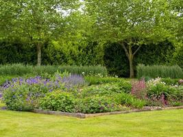 Flowerbeds and a green lawn in a summer garden photo
