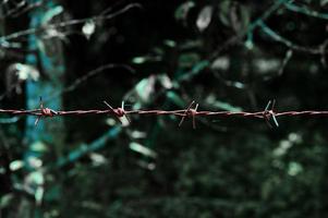 Close-up of a barbed wire fence in a restricted area. photo