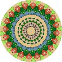 Abstract Colorful Mandala Background . Unusual Flower Shape. Oriental ., Anti-Stress Therapy Patterns. Weave Design Elements photo