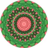 mandala colorido con adorno floral. forma de flor inusual. vector oriental, patrones de terapia antiestrés. elementos de diseño de tejido foto