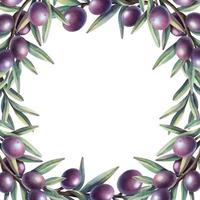 Watercolor frame of olive branches with fruits. Hand painted floral circle border with purple olive fruit and tree branches isolated on white background. photo
