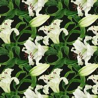 Tropical dark green seamless pattern with white lily photo