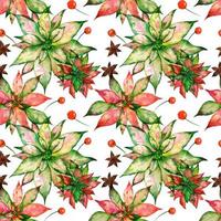 Christmas watercolor seamless pattern with poinsettia and red berry and anise star photo