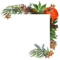 marco de acuarela de navidad con pino y poinsettia y naranja y especias de invierno foto
