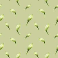 Hippeastrum buds green seamless pattern photo