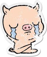 distressed sticker of a cartoon sitting pig crying vector