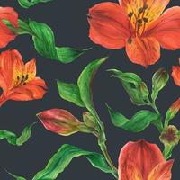 Floral watercolor seamless pattern with red alstroemeria flowers photo