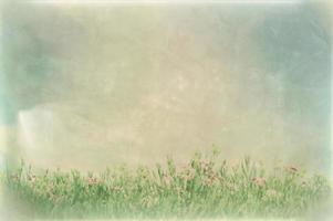 Vintage picture of summer meadow flowers in green grass. photo