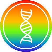 DNA chain circular in rainbow spectrum vector