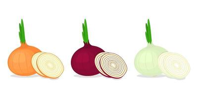 Onions of different varieties and slices set vector