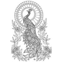 Peacock and moon hand drawn for adult coloring book vector