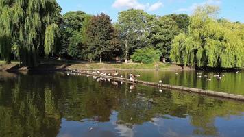 Blick auf den See und Wasservögel im örtlichen öffentlichen Park von England, Großbritannien, Großbritannien video