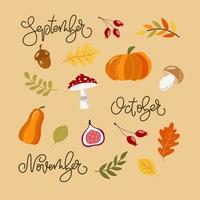 Set of handdrawn autumn elements-pumpkins, berries, yellow, red leaves, figue, acorn, calligraphy names of months. For design calendars, posters, scrapbooking. vector