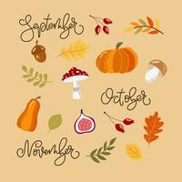 conjunto de elementos de otoño dibujados a mano: calabazas, bayas, hojas amarillas, rojas, figue, bellota, nombres de caligrafía de meses. para calendarios de diseño, carteles, álbumes de recortes. vector