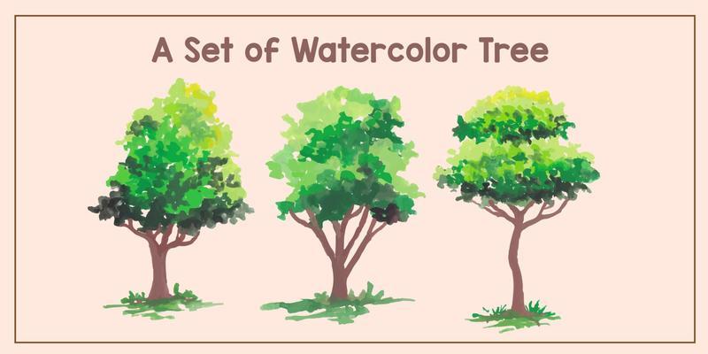 a set of watercolor tree illustration