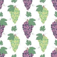 Seamless pattern with bunches of grapes and leaves. Fruit pattern. vector