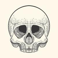 Skull in retro vintage, engraving style design. skeleton sketch tattoo and tshirt design template. vector