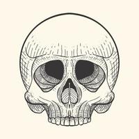 Skull in retro vintage, engraving style design. skeleton sketch tattoo and tshirt design template. vector